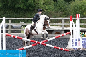 Class 3 -  Fences not above 2'3